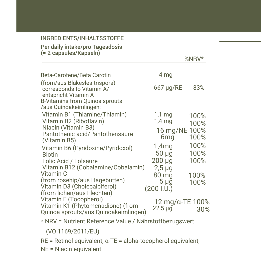 IMMUNE BOOSTER: Bioidentical Multivitamin with PANMOL® for Immunity, Energy & Cell Repair