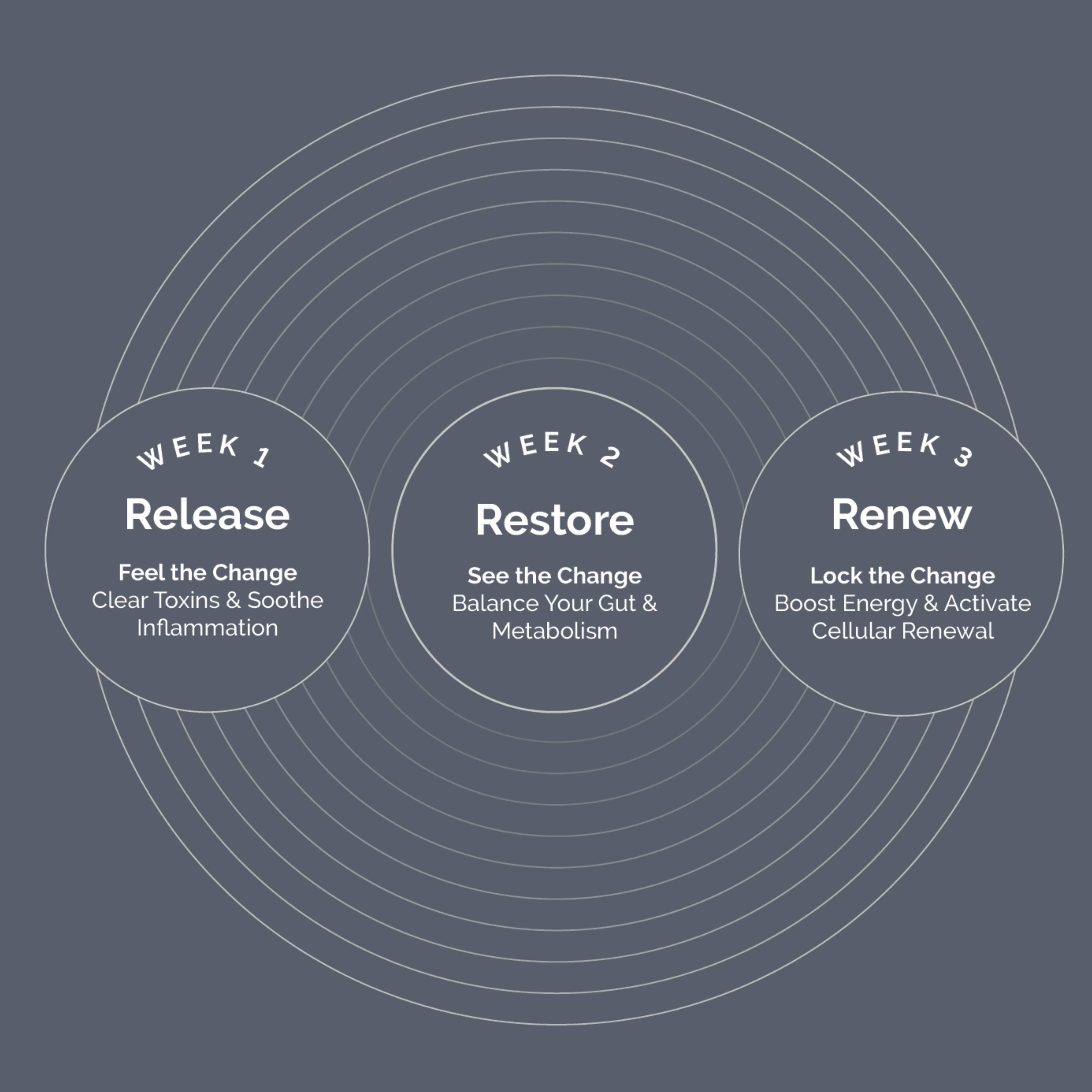 21-Day Gut Reset PRO 3-week process EN