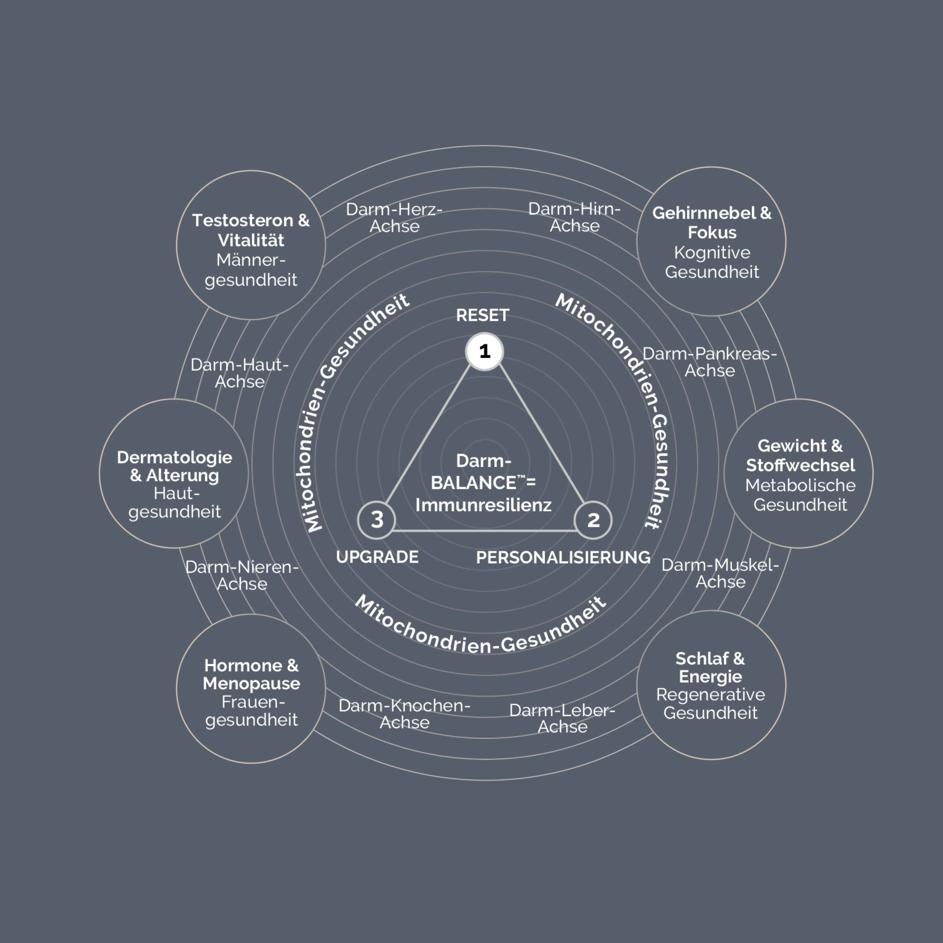 Diagram of gut health and its impact on various bodily functions on a dark gray background