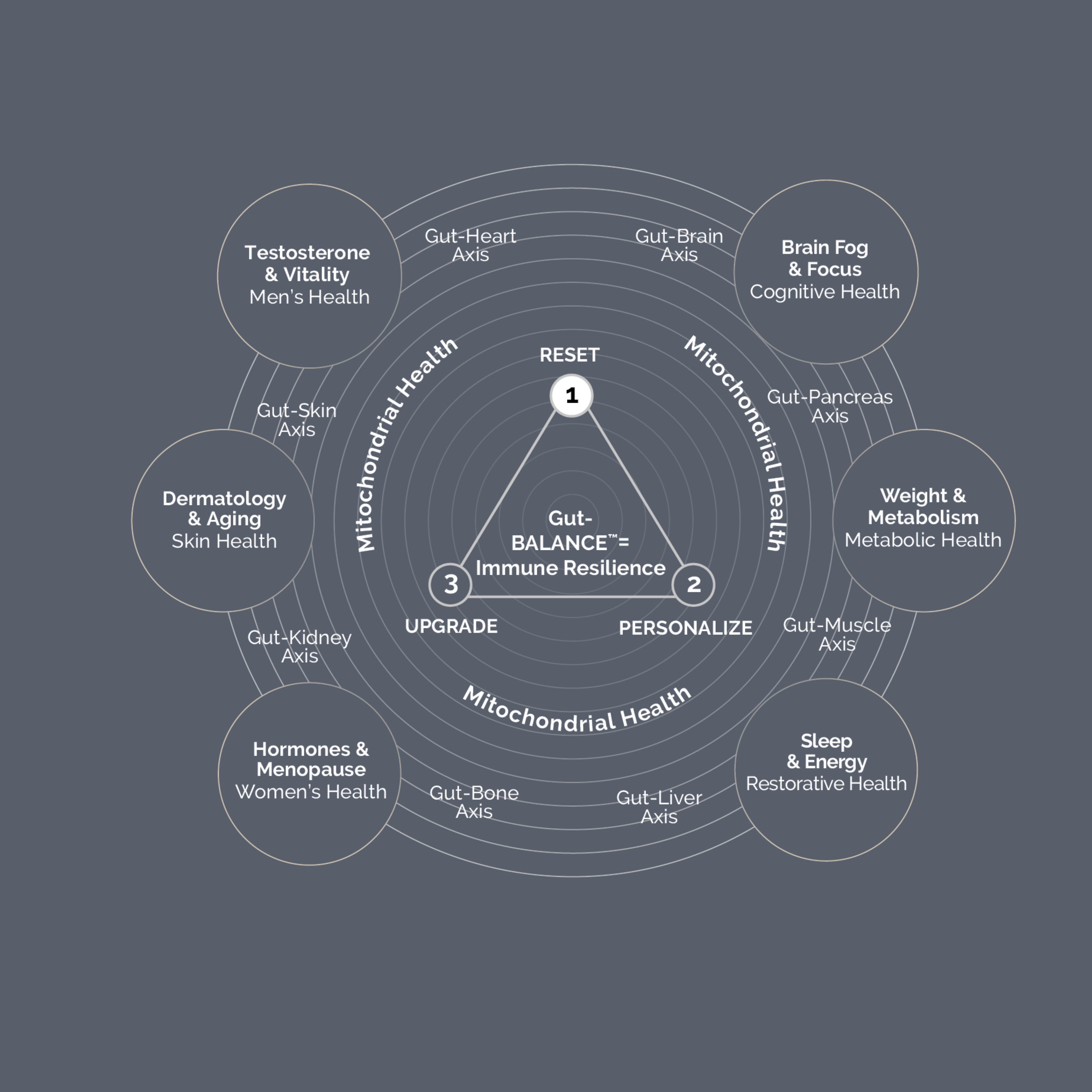 21-Day Gut Reset PRO | Lasting Weight Loss, Energy & Healthy Aging