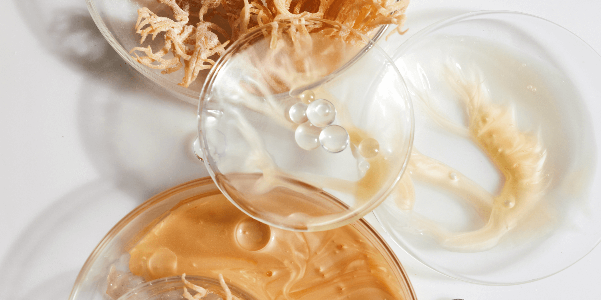 Science photo with beaker and lab equipment