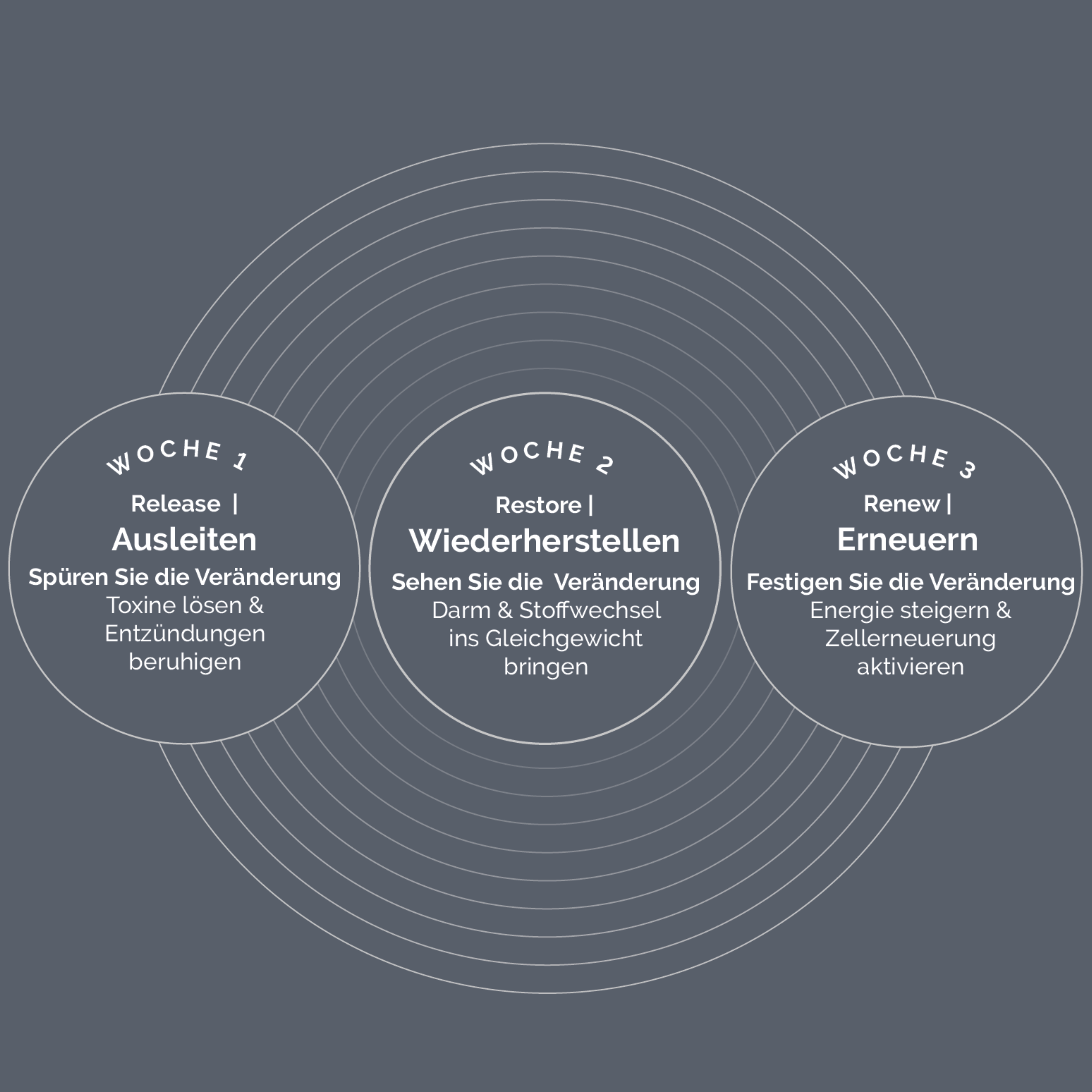 21-Day Gut Reset PRO 3-week process German