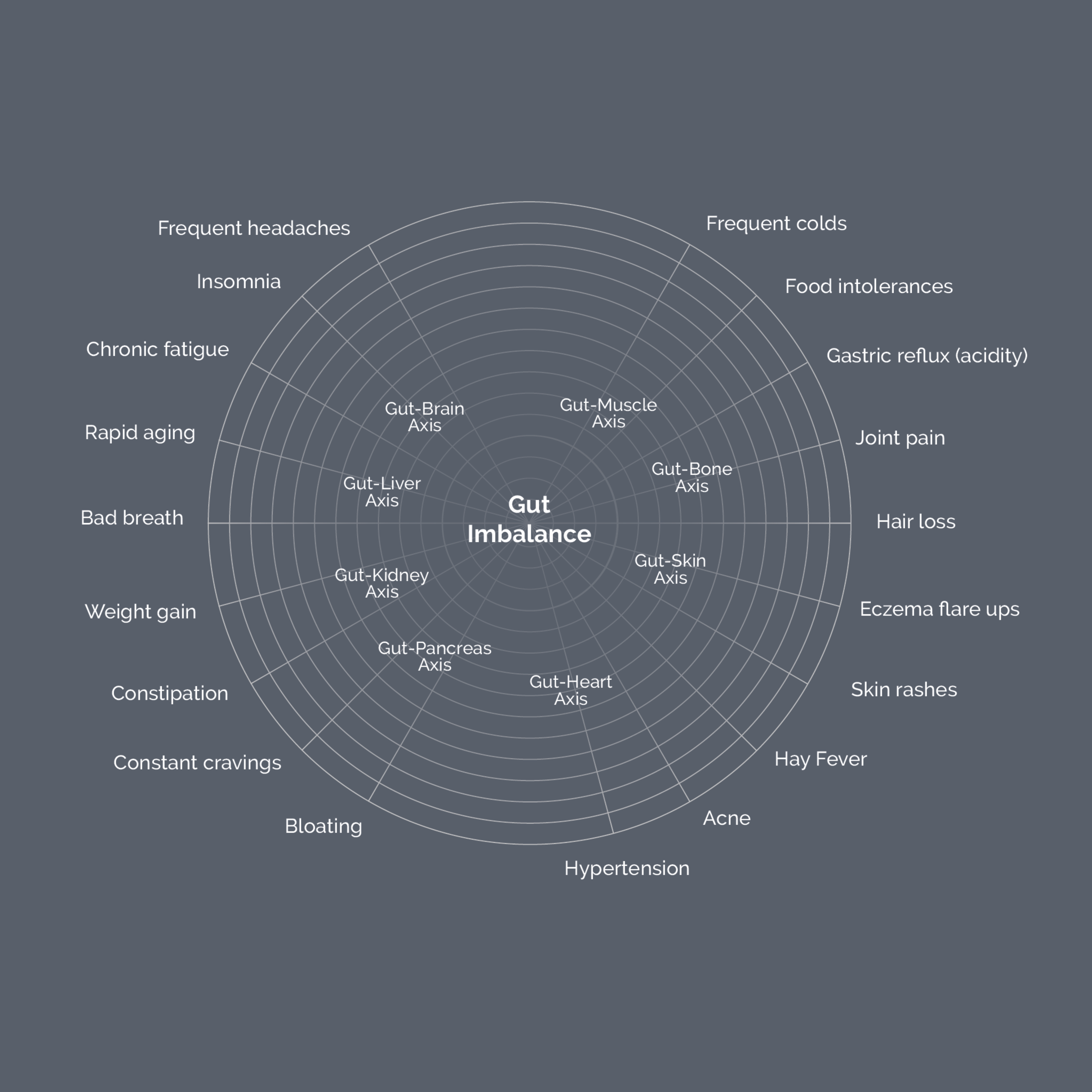 21-Day Gut Reset PRO | Lasting Weight Loss, Energy & Healthy Aging